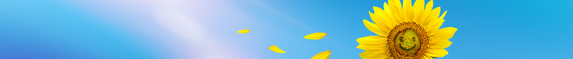 1907640784056291328
