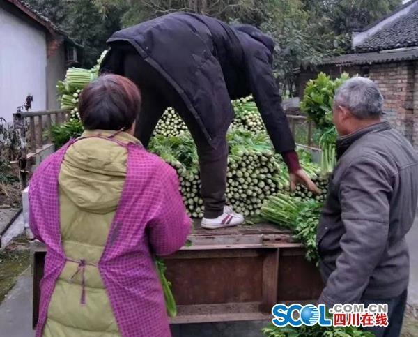 manbet��(�й���)�ٷ���վ
